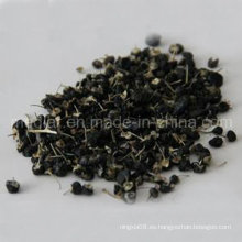 Lycium Chinense, bayas de Goji negras secas, deshidratadas